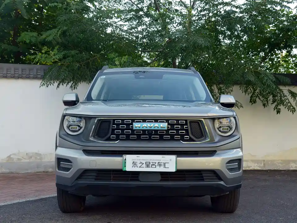Haval Second-generation big dog