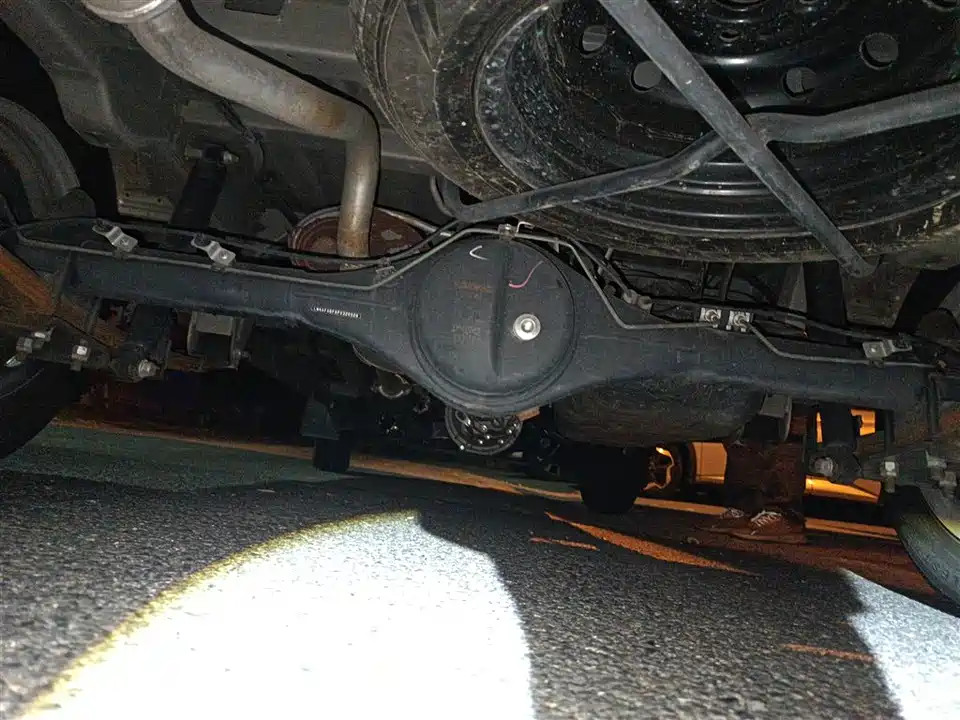 Jinbei Little Sea Lion X30