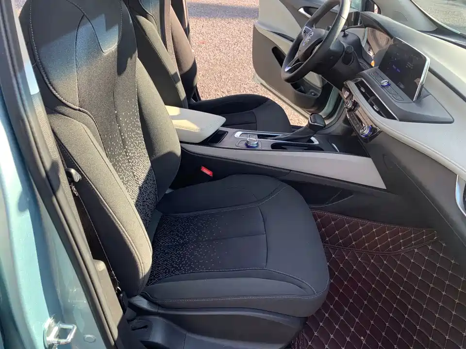 Buick Slightly blue 6