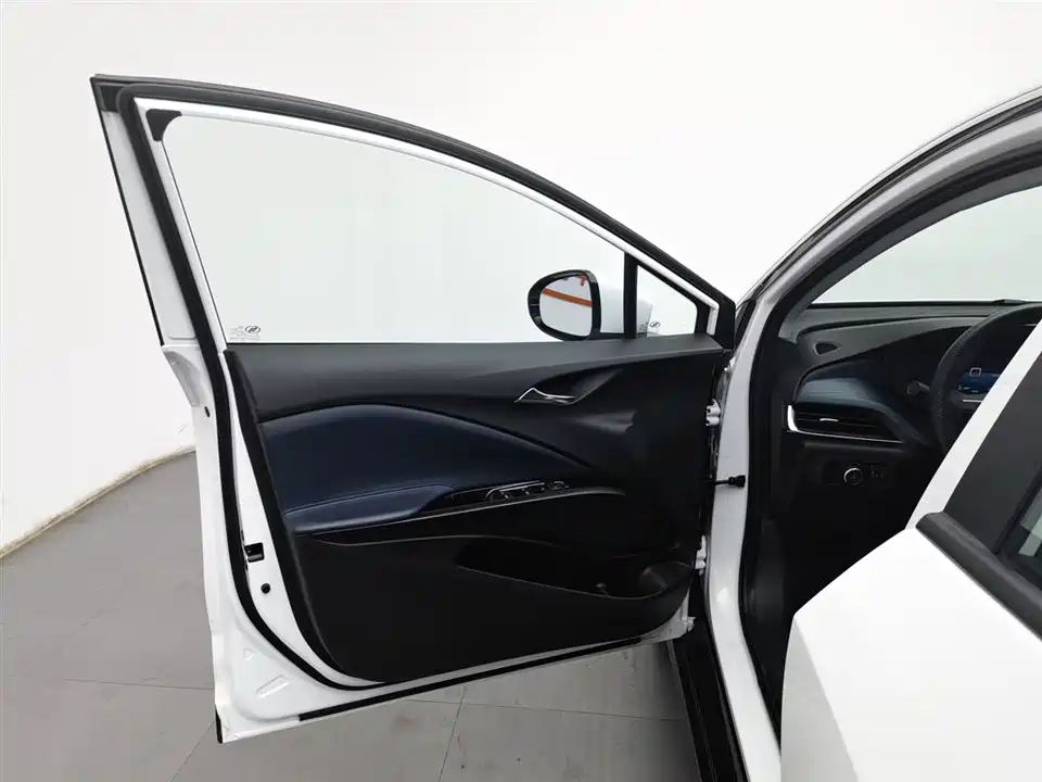 Buick Slightly blue 6