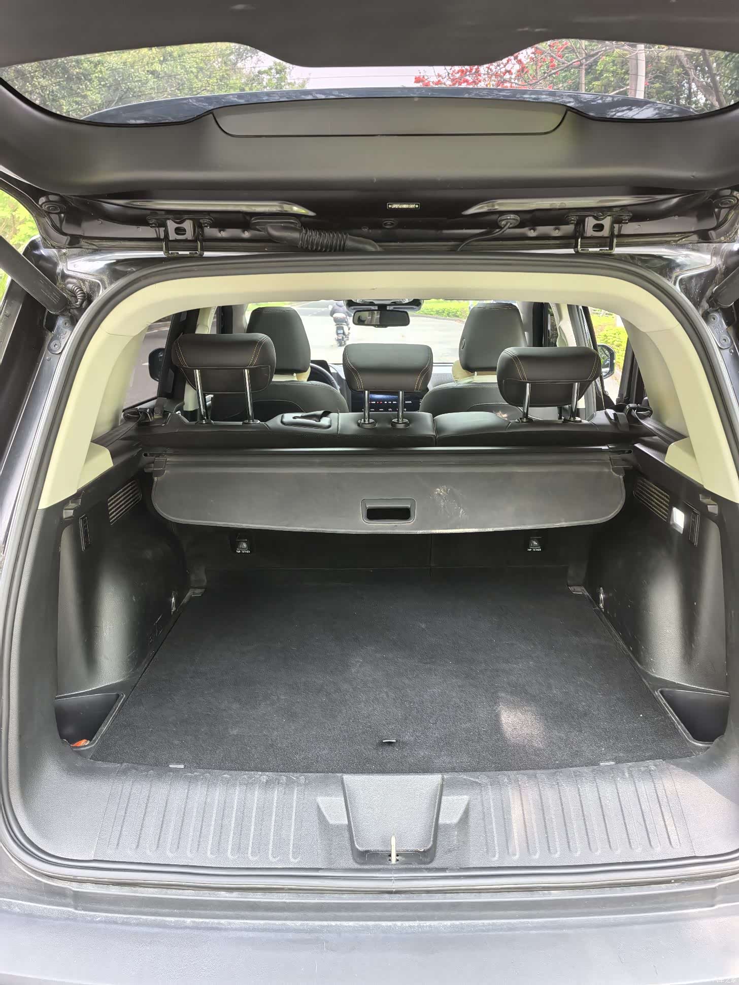 Haval Big Dog, 2021 18