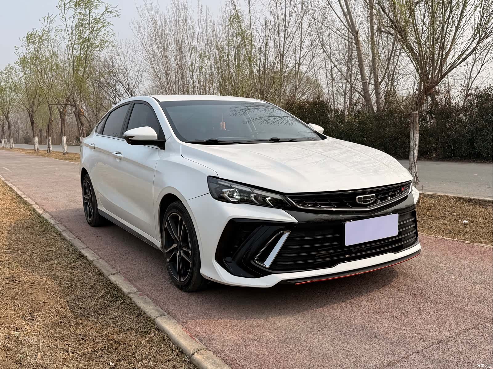 Geely Binray, 2023 3