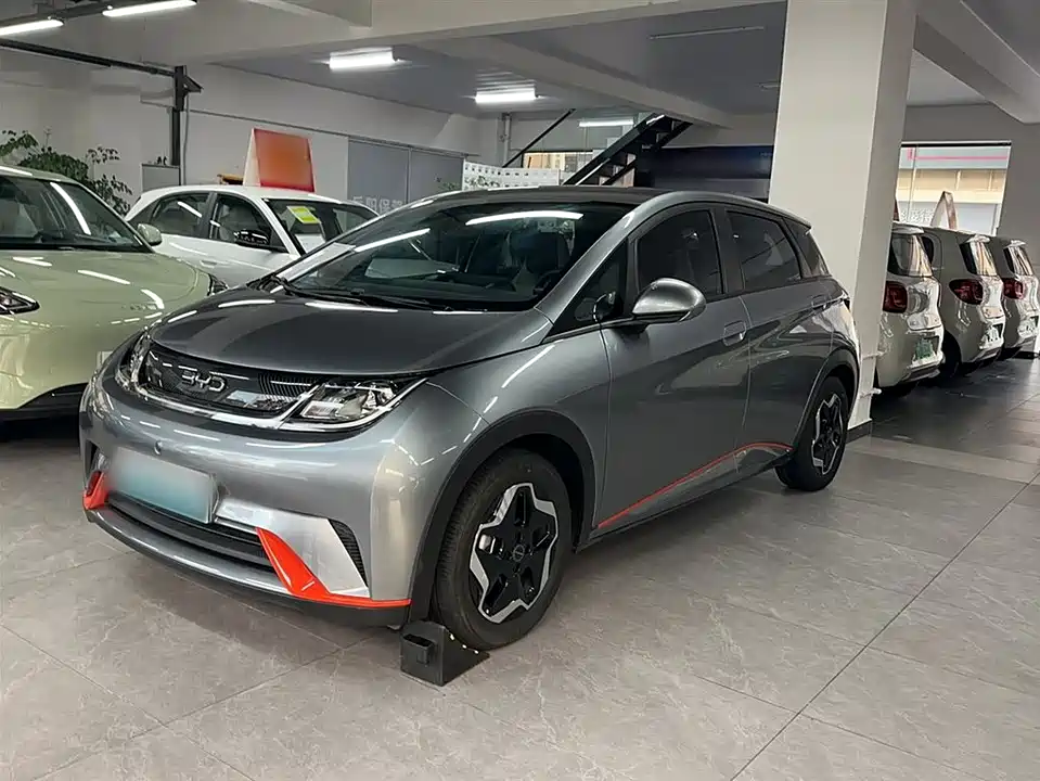 BYD dolphin