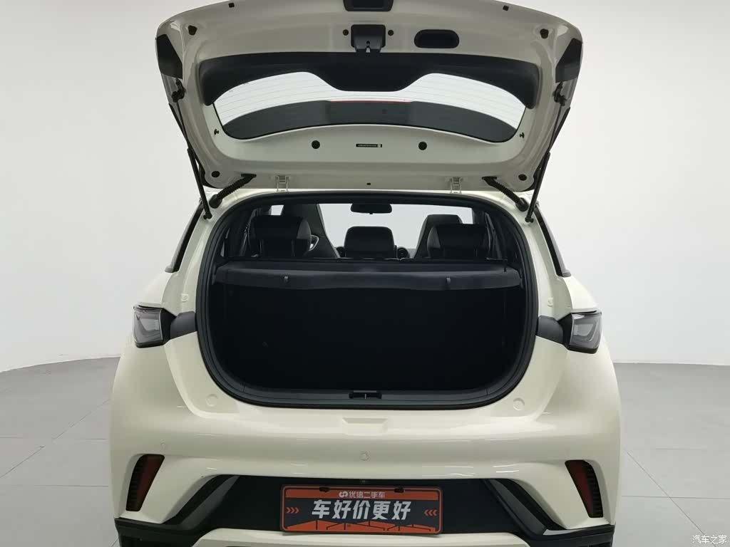 BYD Dolphin, 2023 16