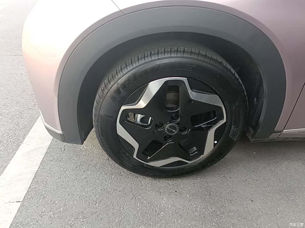 BYD Dolphin, 2022 23
