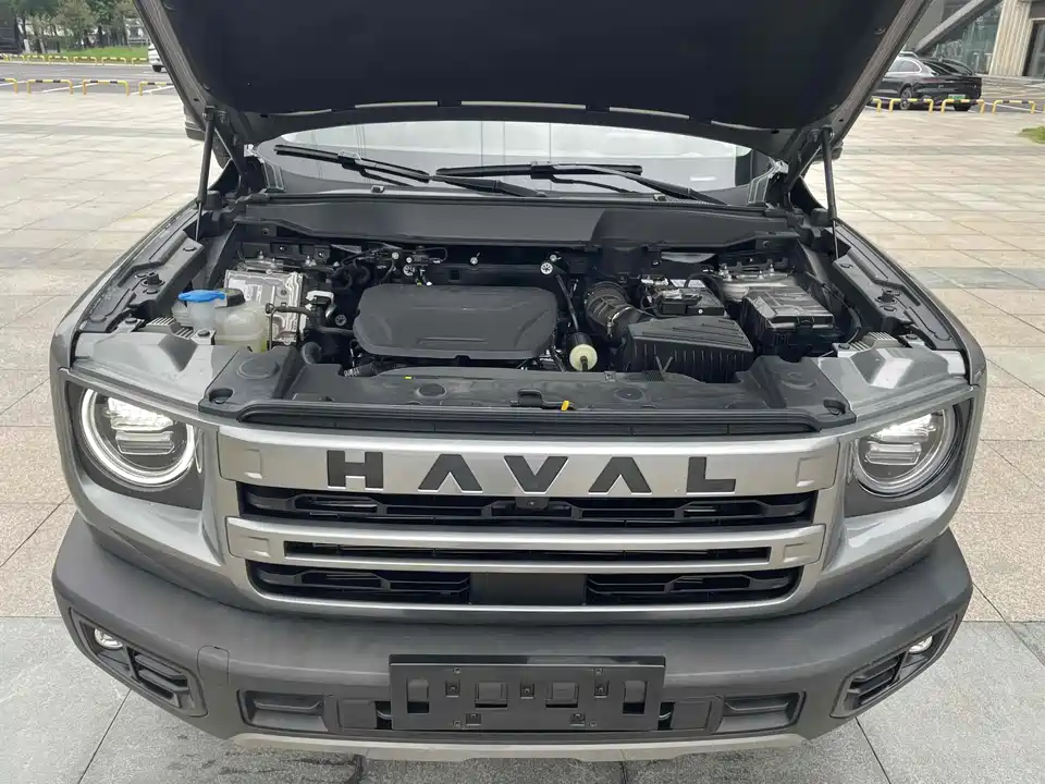 Haval Big dog