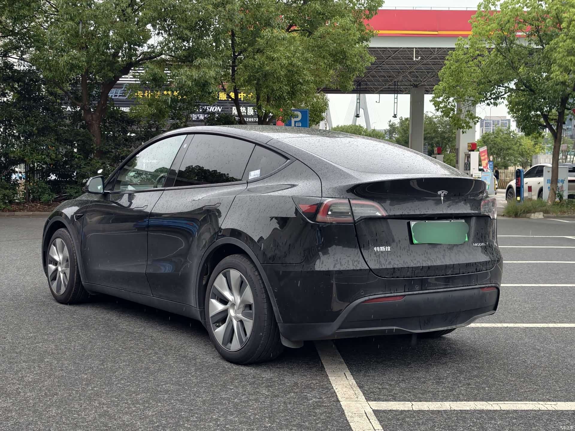Tesla Model Y, 2023 все фото