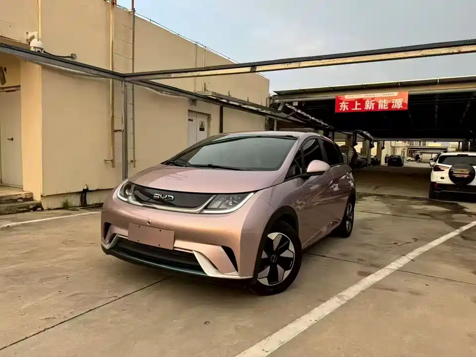 BYD dolphin