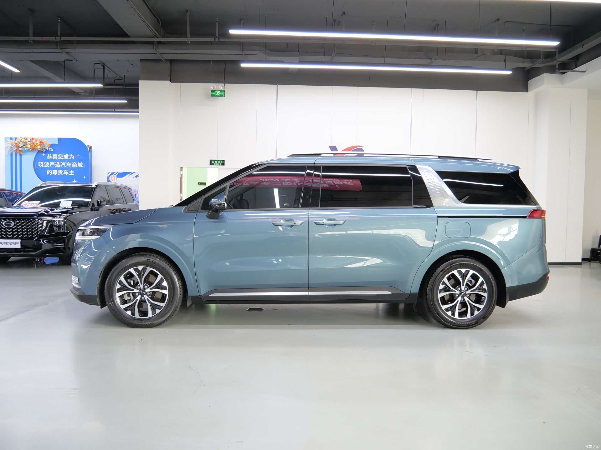 Kia Carnival, 2023 все фото