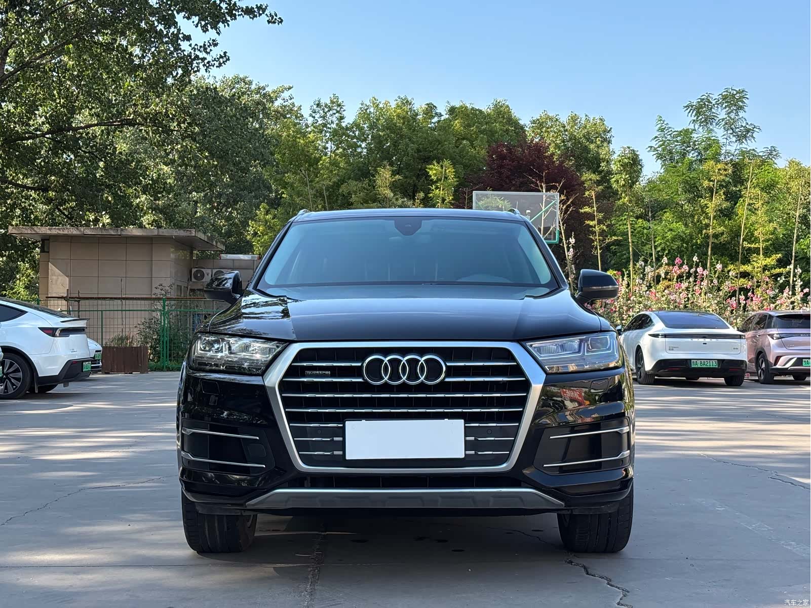 Audi Q7, 2019 2