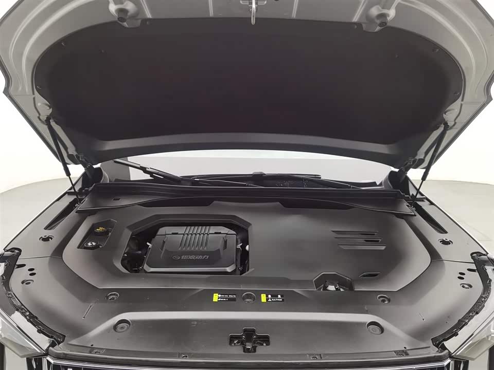 Trumpchi Trumpchi GS8