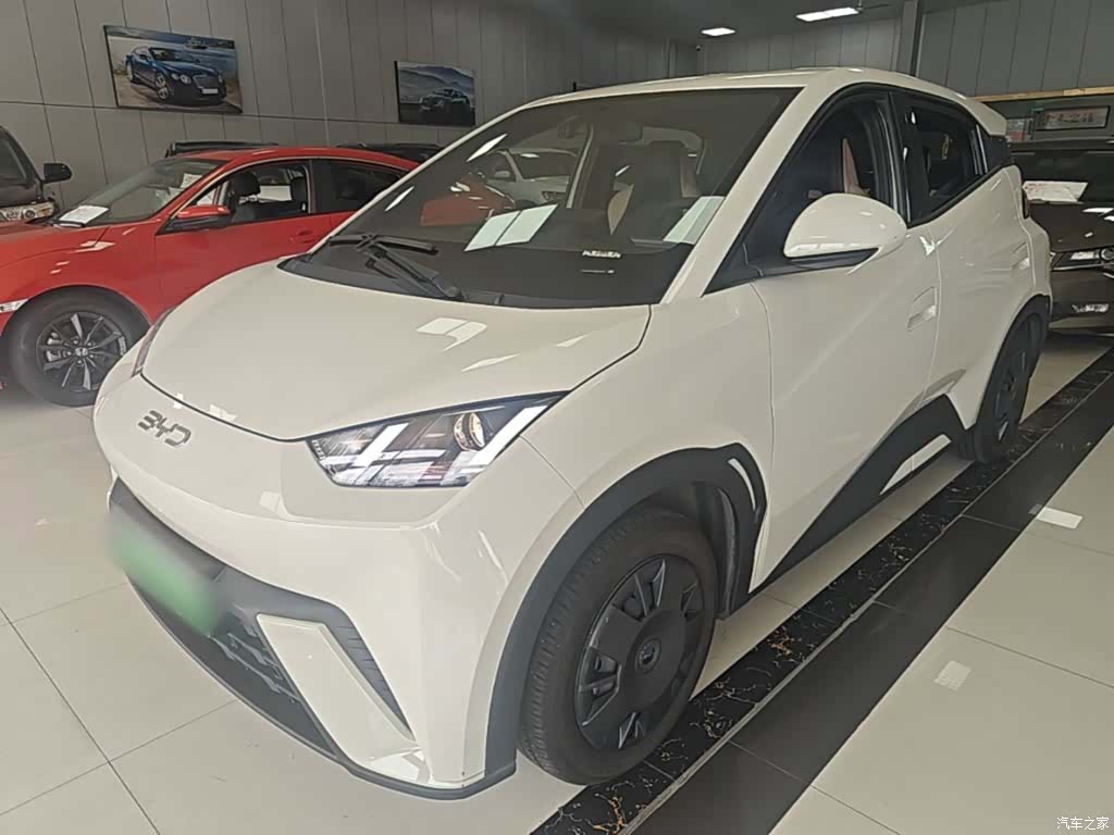BYD Seagull, 2025 1