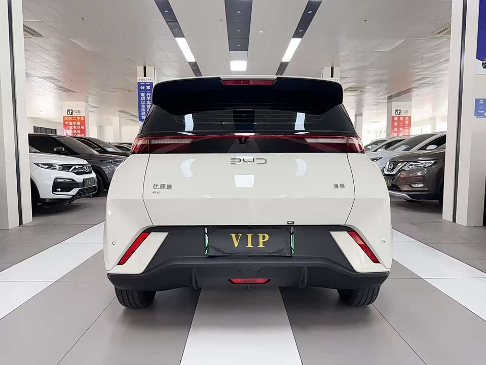 BYD Seagull