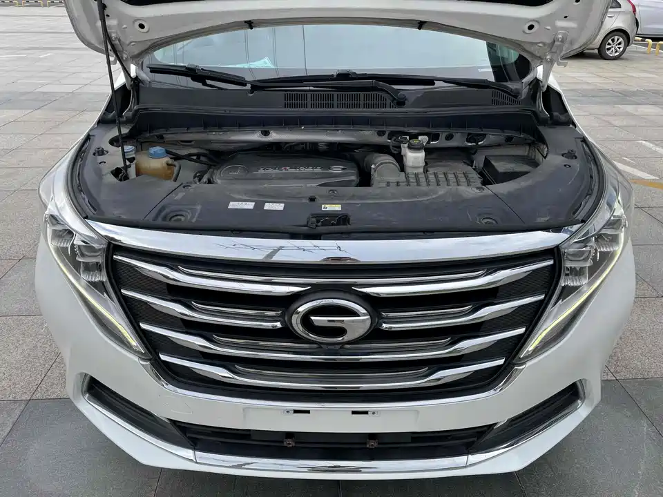 Trumpchi Trumpchi M8 Trumpchi Trumpchi M8