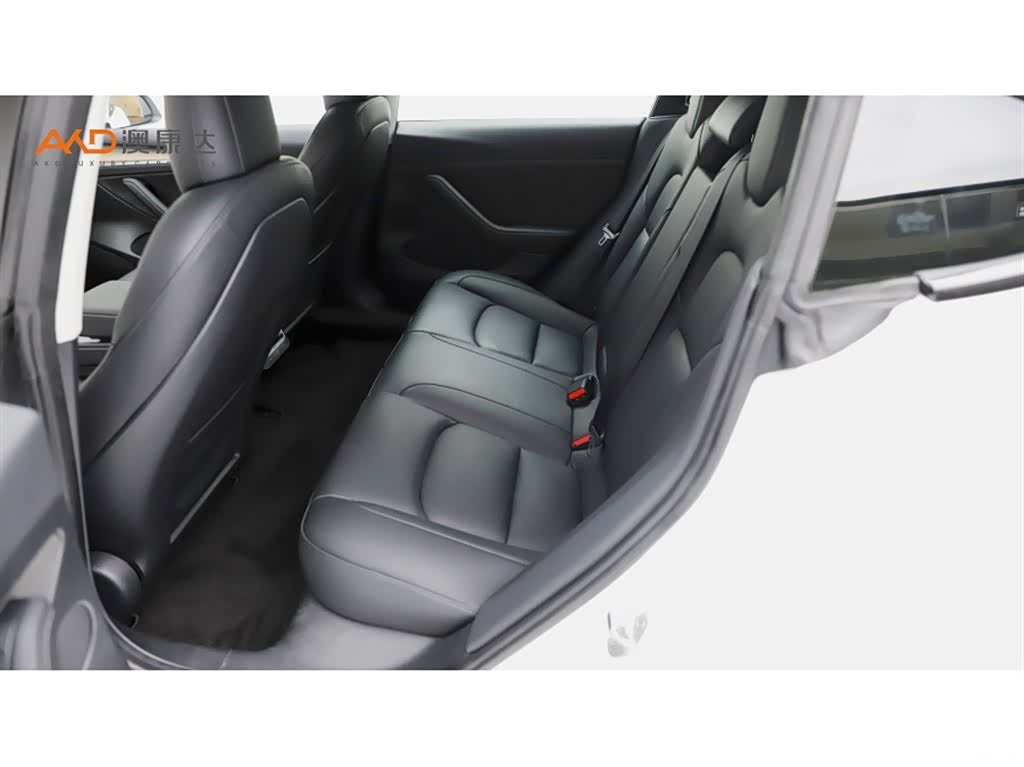Tesla Model 3, 2021 7