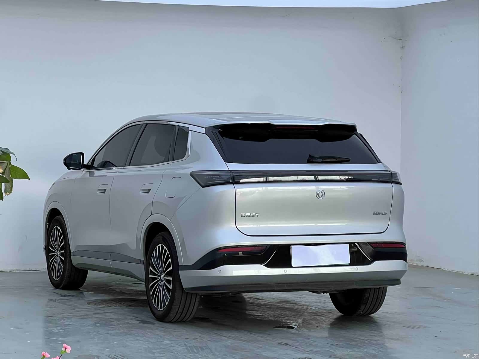DongFeng L8, 2025 7