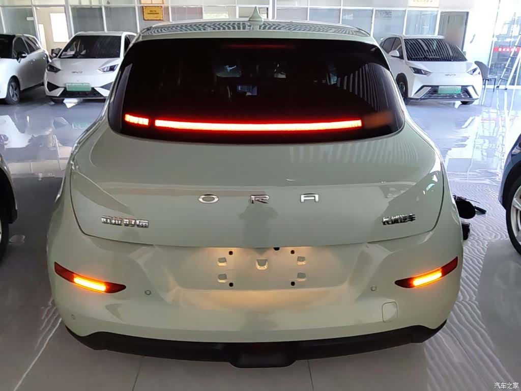 ORA Good Cat, 2022 6