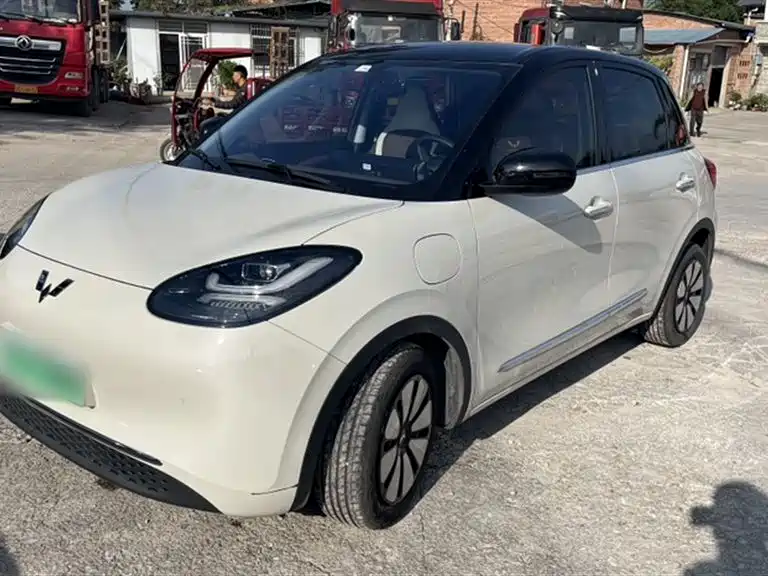 Wuling Wuling Bingguo