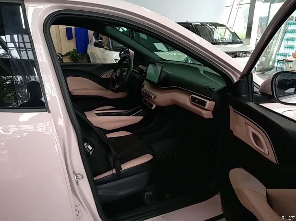 BYD Seagull, 2024 25