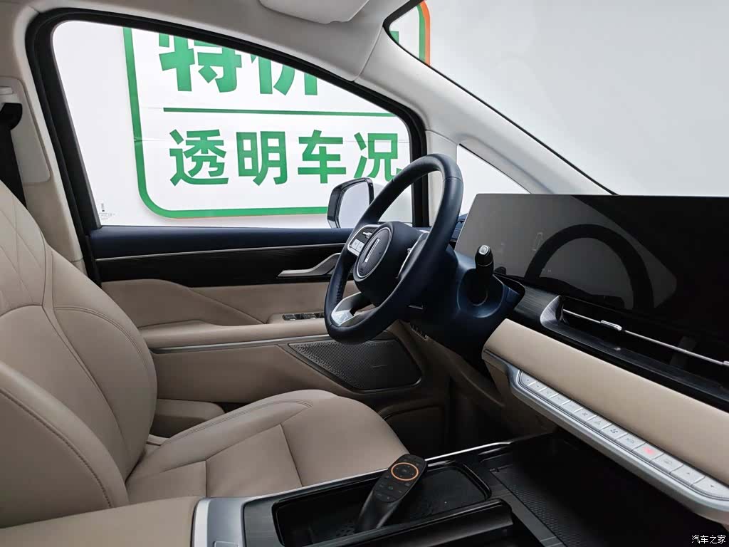 WEY Gaoshan, 2023 22