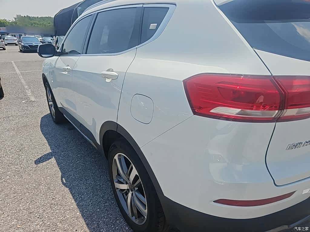 Haval H6, 2019 все фото