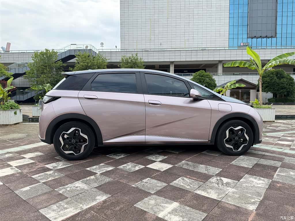 BYD Dolphin, 2022 7