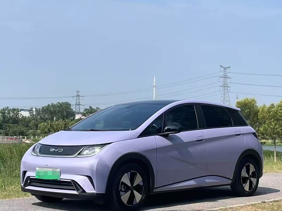 BYD dolphin