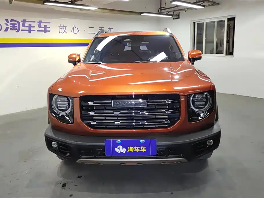 Haval Big dog