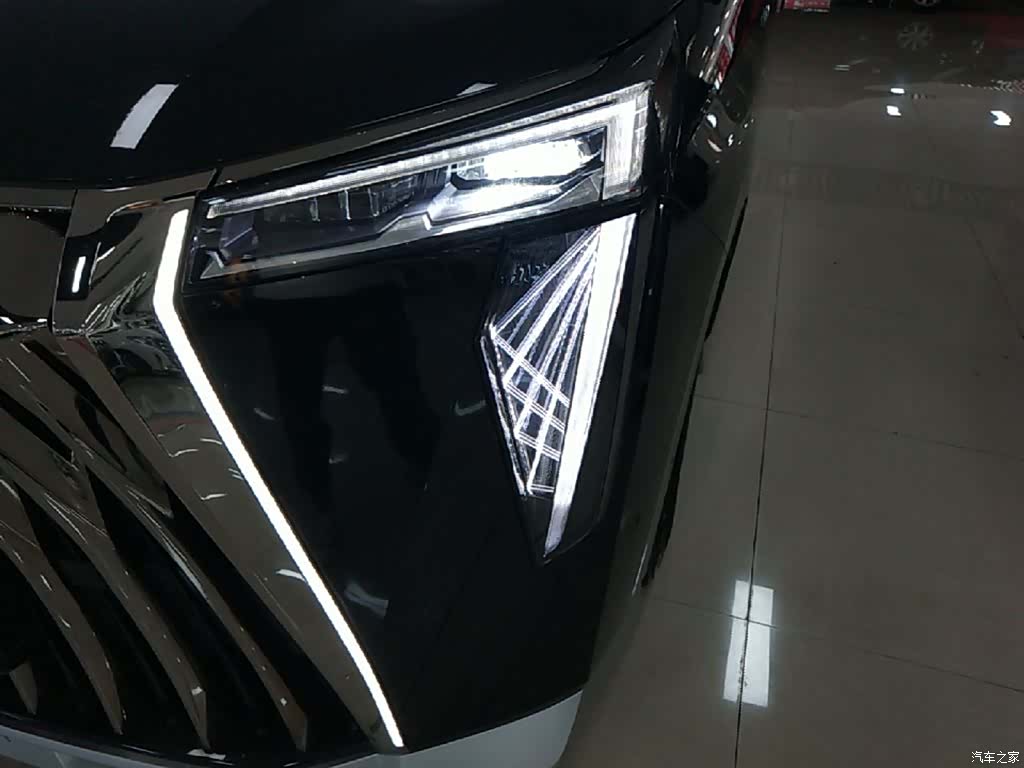 Trumpchi E9, 2024 24