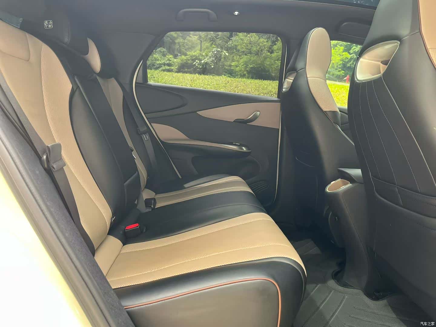 BYD Dolphin, 2024 6