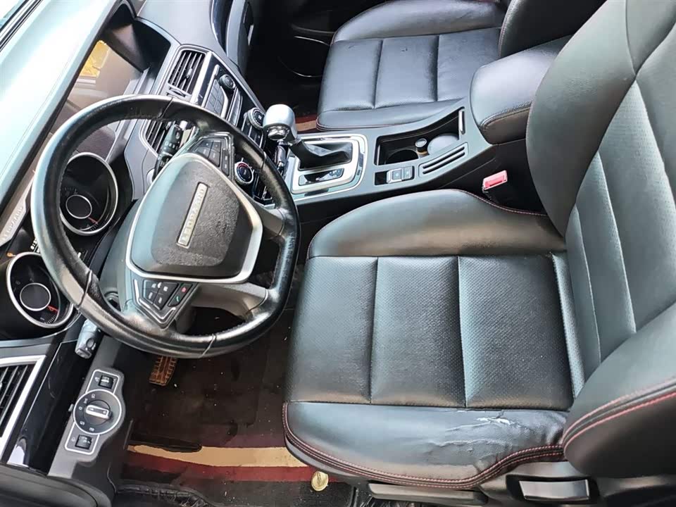 Leopaard Cheetah CS10