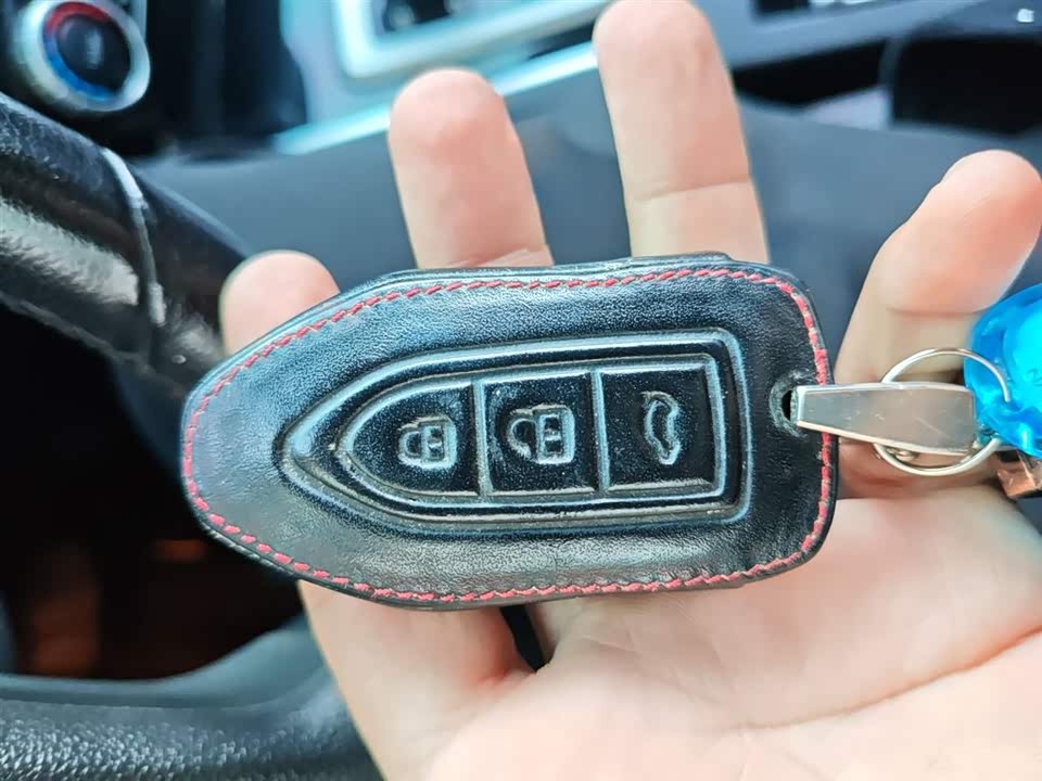 Leopaard Cheetah CS10