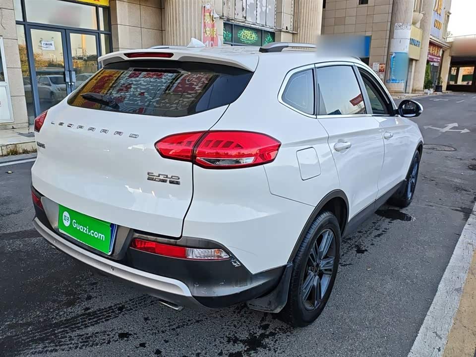 Leopaard Cheetah CS10