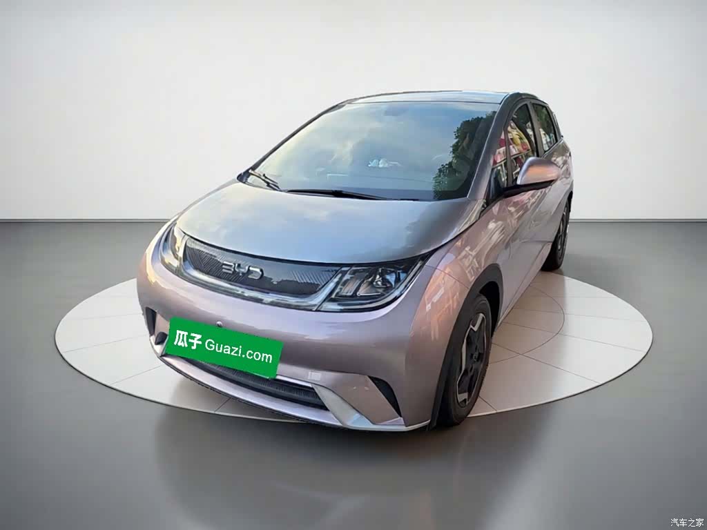 BYD Dolphin, 2021 1