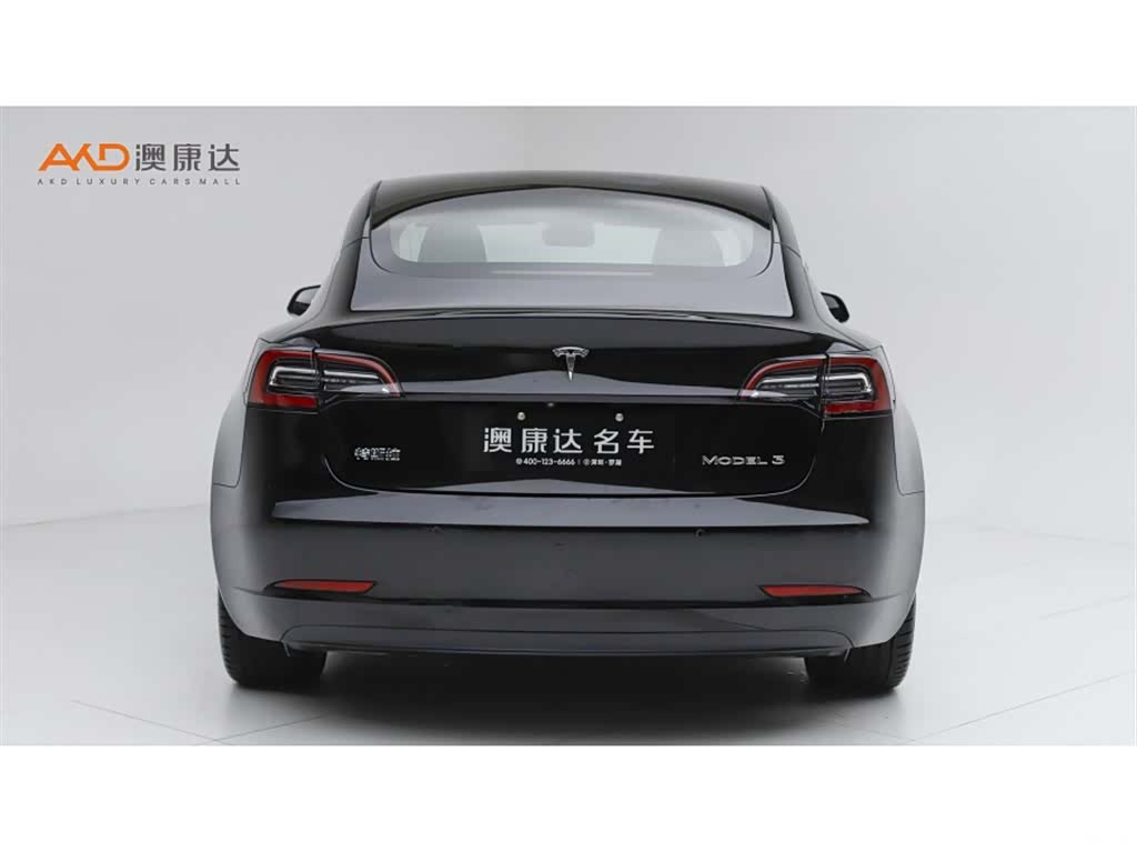 Tesla Model 3, 2021 4