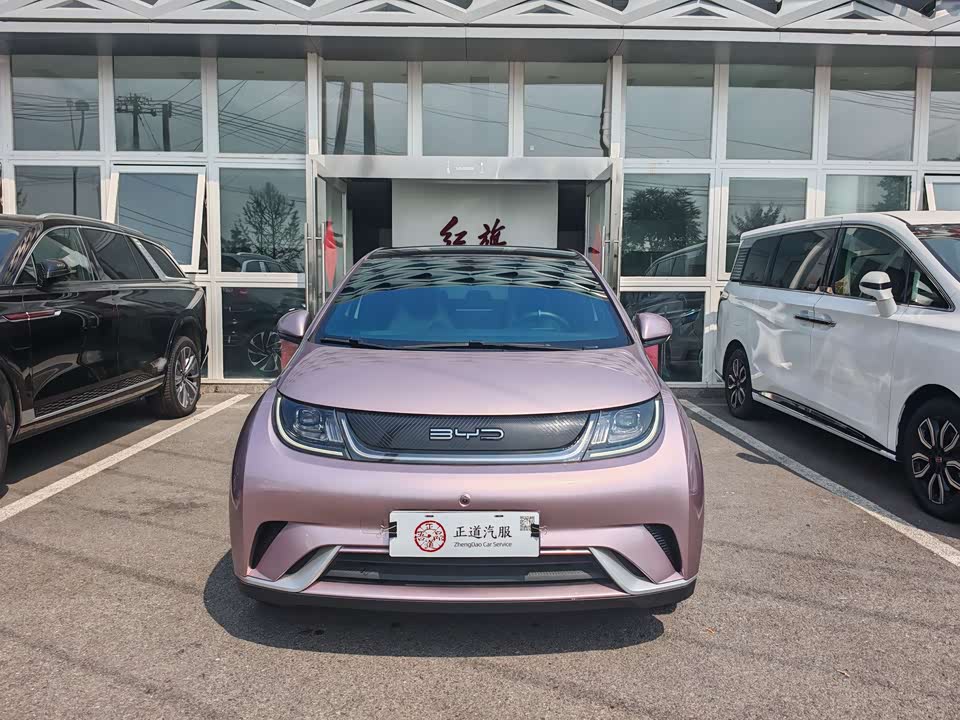 BYD dolphin