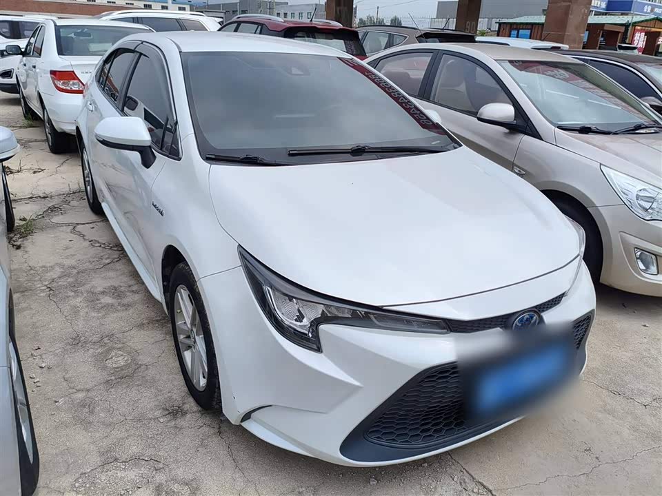 Toyota Lei Ling