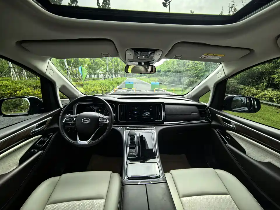 Trumpchi Trumpchi M8