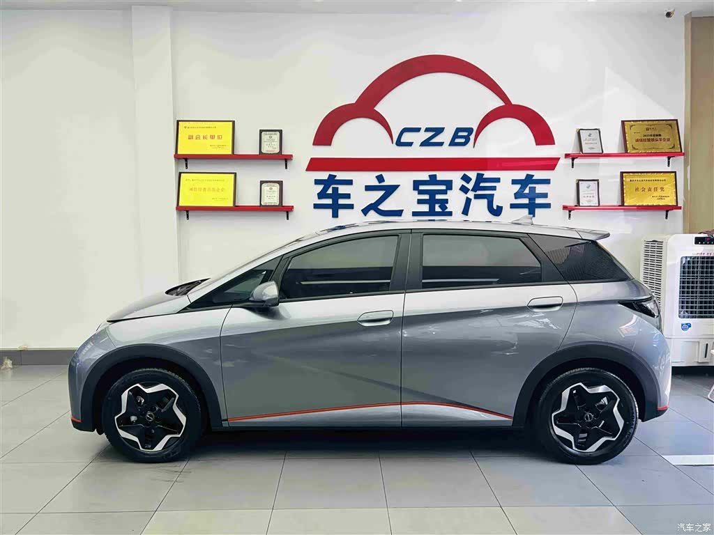 BYD Dolphin, 2022 4