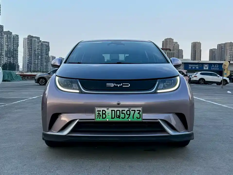 BYD dolphin