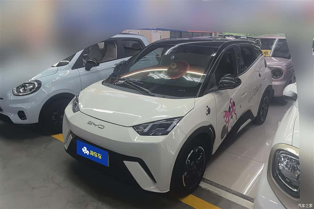 BYD Seagull, 2024 1
