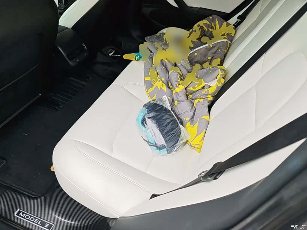 Tesla Model 3, 2019 17