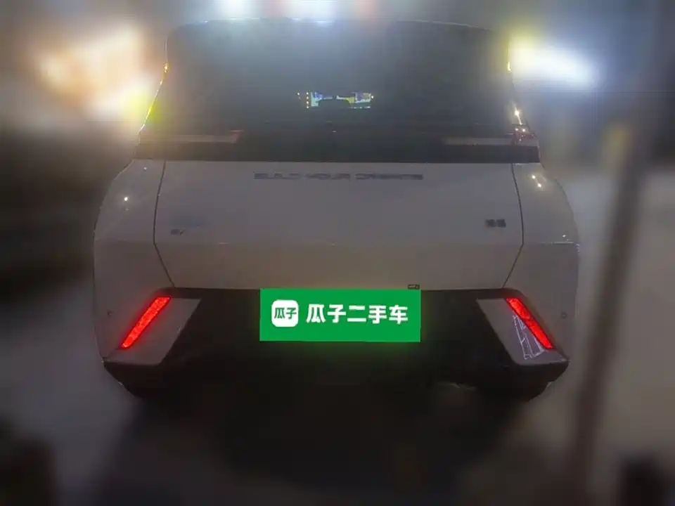 BYD Seagull