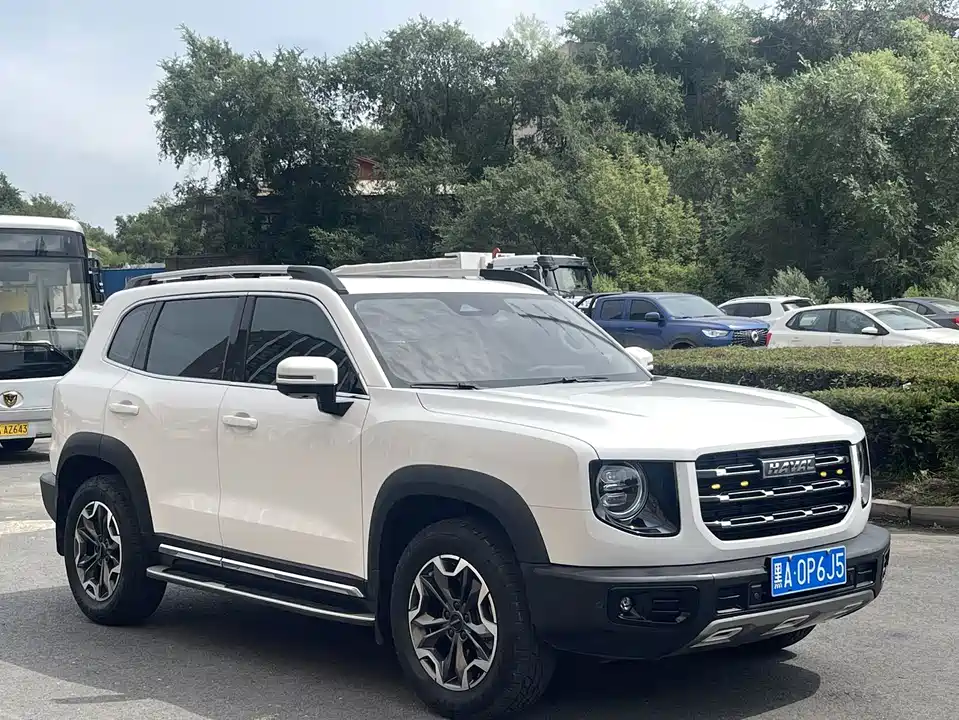 Haval Big dog