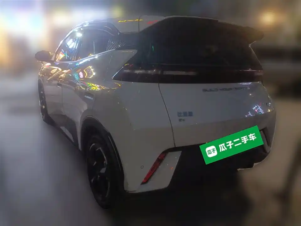 BYD Seagull
