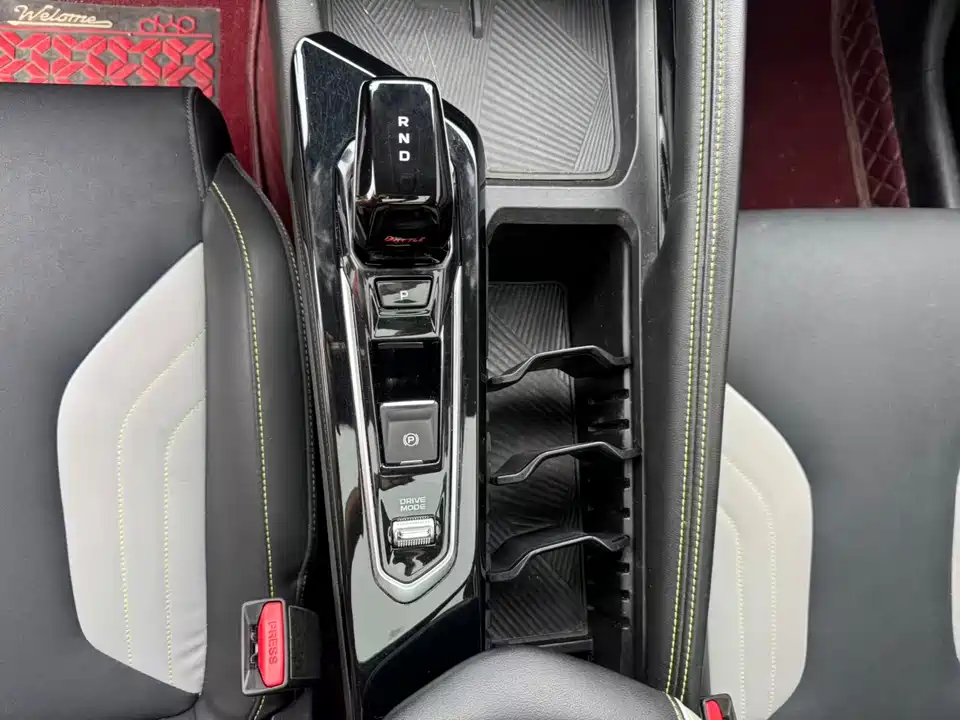 Geely Binrui