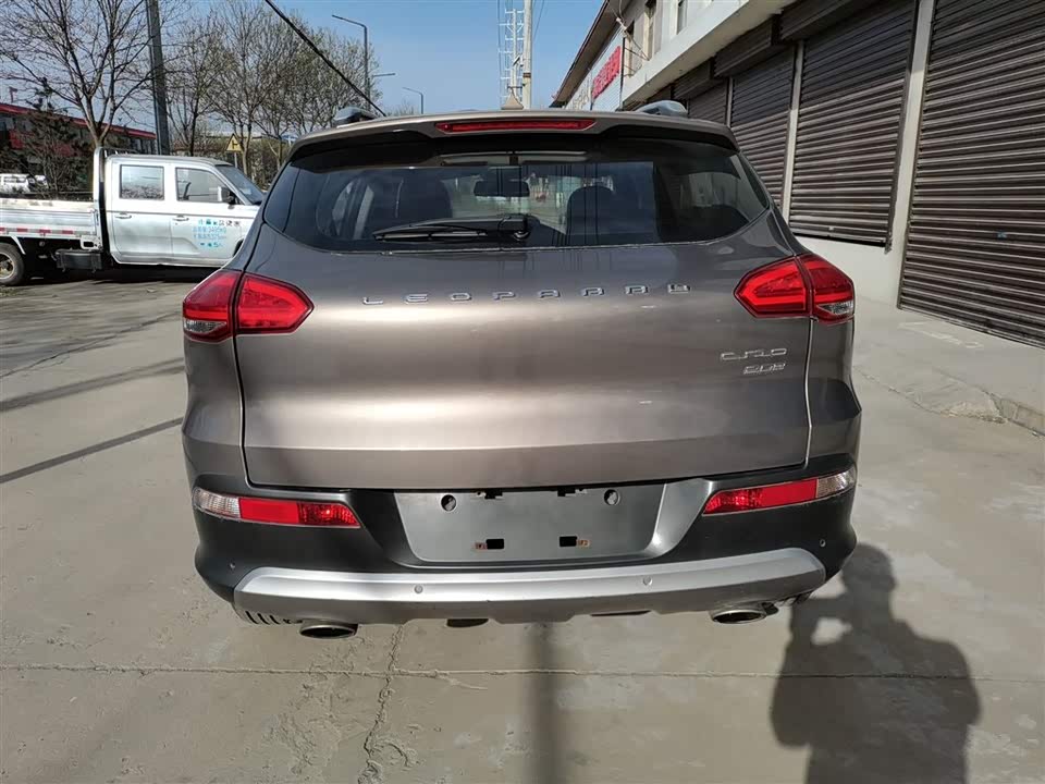 Leopaard Cheetah CS10