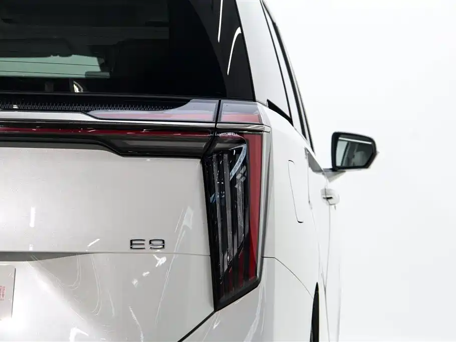 Trumpchi Trumpchi E9