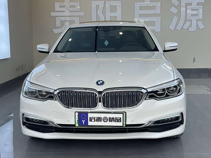 BMW 5 Series xin neng yuan 2019 530Le hao hua tao zhuang