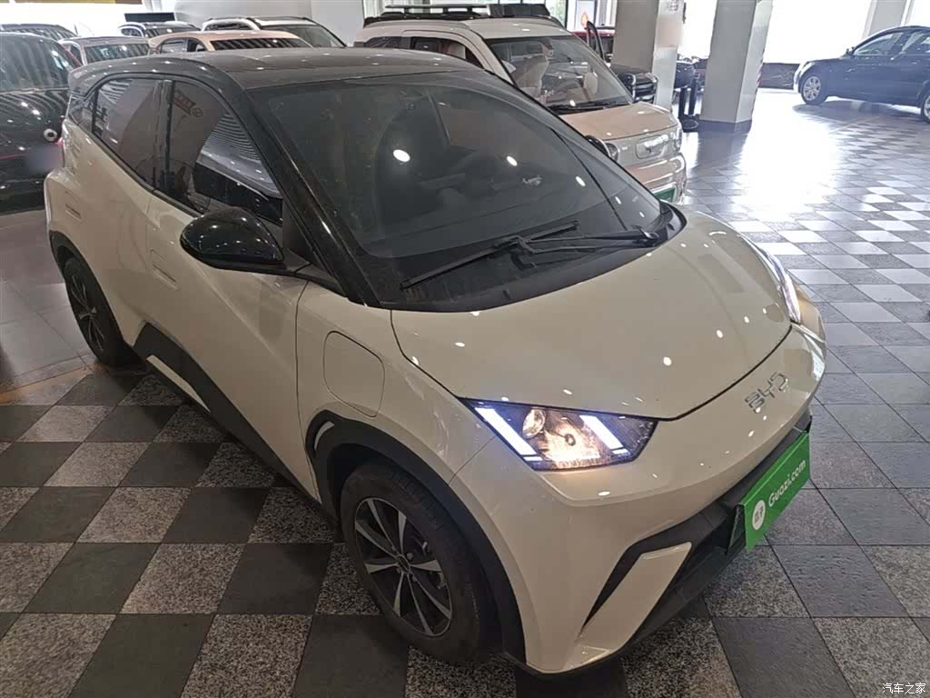 BYD Seagull, 2024 3